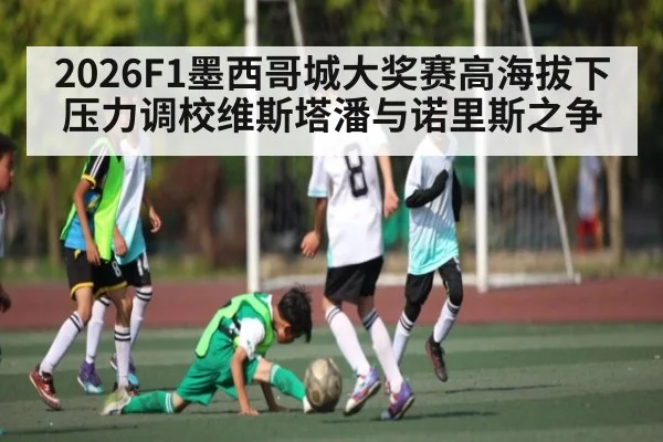 2026F1墨西哥城大奖赛高海拔下压力调校维斯塔潘与诺里斯之争